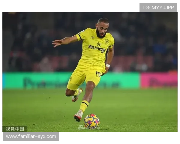 南安普顿俱乐部百年风云与英超征程全景回顾传奇荣耀与青训崛起故事