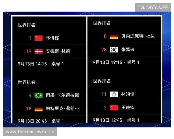 德甲最新战报解析：多特蒙德迎来关键胜利机会