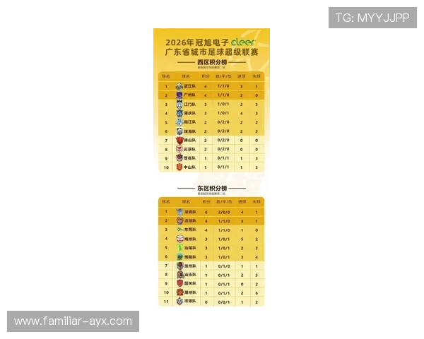 粤超最新积分榜解析：各队表现对赛季排名影响全面梳理